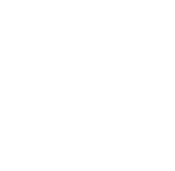 BK Juices bridge logo